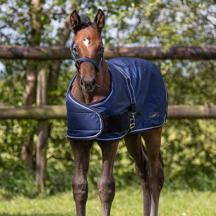 Fohlendecke Turnout 600D 100g Marineblau in der Gruppe Pferdedecken / Outdoordecken / Winterdecken bei Equinest (6146NA)