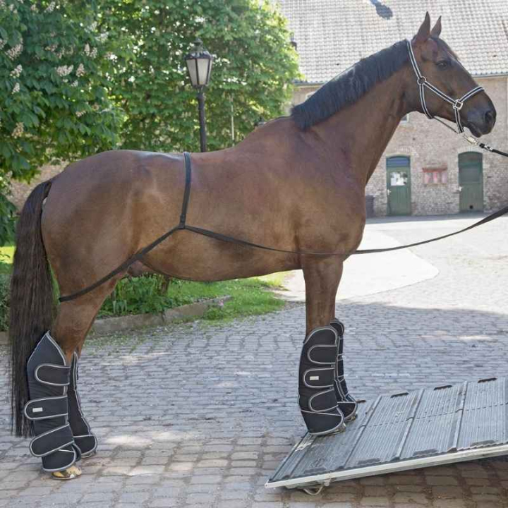 Verladehilfe Transport Aid Schwarz in der Gruppe Pferdezubehör & Pferdebedarf / Transport bei Equinest (6178200BA)