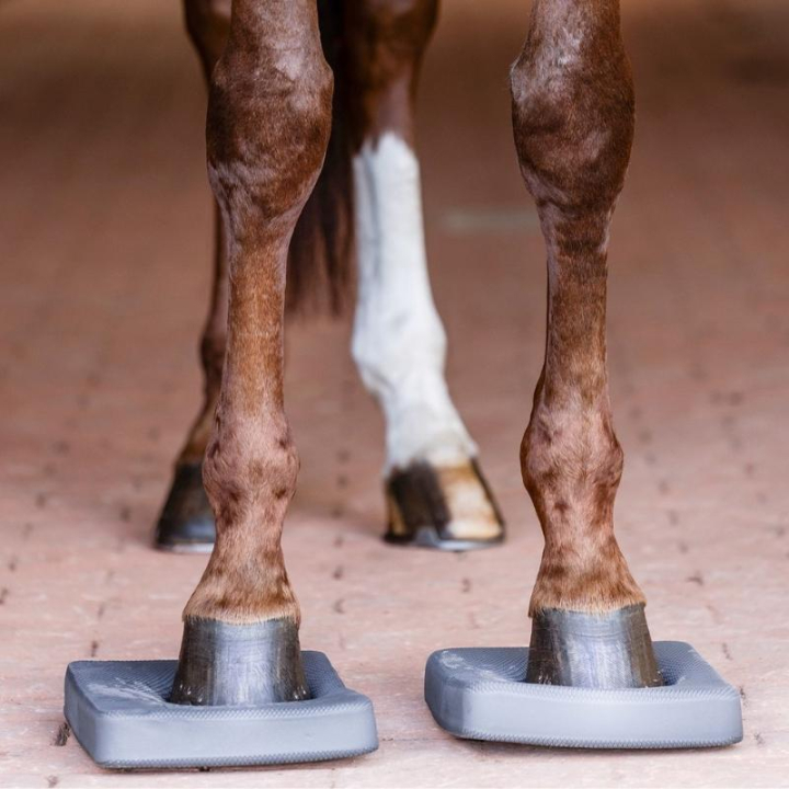 Balance-Pads 2-pack Grau in der Gruppe Pferdezubehör & Pferdebedarf / Zubehör bei Equinest (6319610GR)