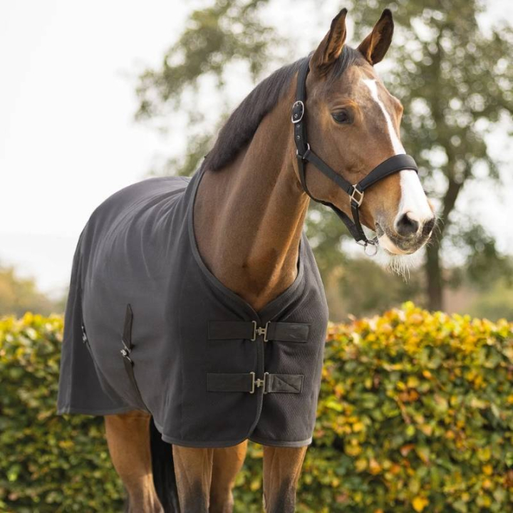 Wettkampfdecke Avenna Schwarz in der Gruppe Pferdedecken / Wettkampf- & Transportdecken bei Equinest (6421ZW165BA_r)