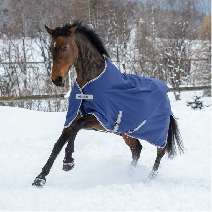 Winterdecke Pony Freedom Turnout 150g Marineblau in der Gruppe Pferdedecken / Outdoordecken / Winterdecken bei Equinest (66300P-150-Ma_r)