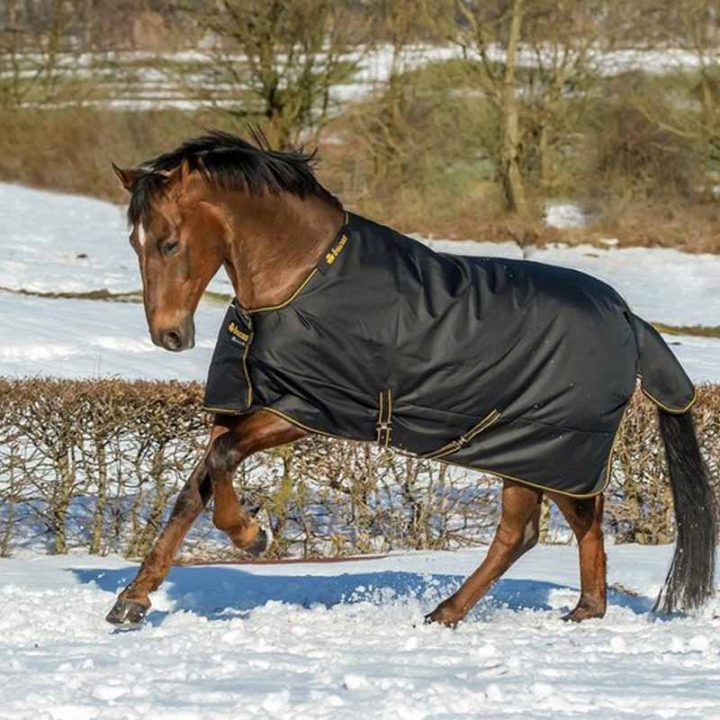 Winterdecke Irish Turnout 250g Schwarz/Gold in der Gruppe Pferdedecken / Outdoordecken / Winterdecken bei Equinest (6761522BAGO_r)