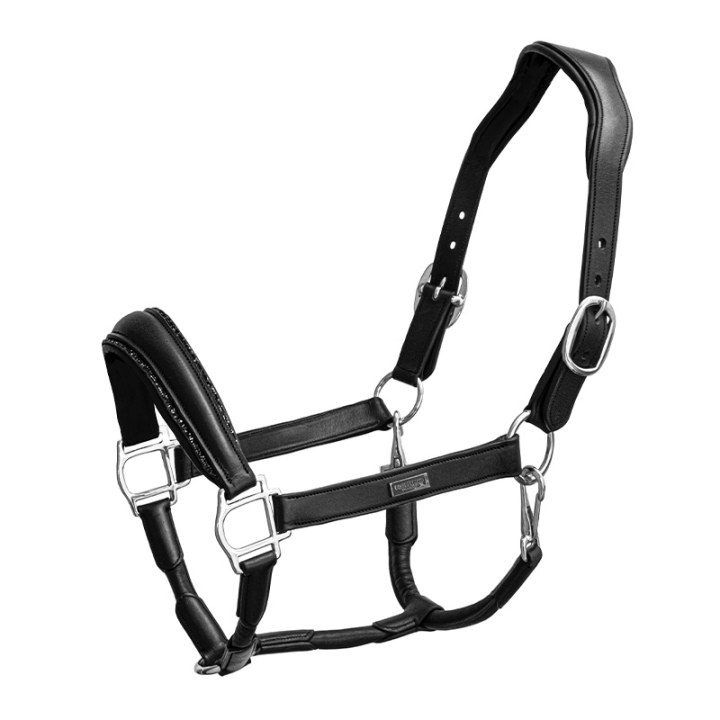 Anatomisches Lederhalfter ES Glimmer Black Edition in der Gruppe Pferdezubehör & Pferdebedarf / Halfter / Lederhalfter bei Equinest (734020642359BA_r)