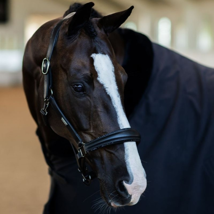 Anatomisches Lederhalfter ES Glimmer Black Edition in der Gruppe Pferdezubehör & Pferdebedarf / Halfter / Lederhalfter bei Equinest (734020642359BA_r)