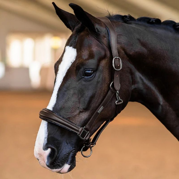 Anatomisches Lederhalfter ES Glimmer All Brown in der Gruppe Pferdezubehör & Pferdebedarf / Halfter / Lederhalfter bei Equinest (734020642386BR_r)