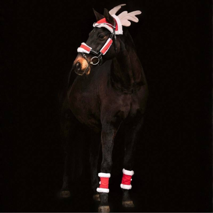 Christmas Set 6-teilig Rot/Weiß in der Gruppe Feiertage & Fasching bei Equinest (7464801REWH)