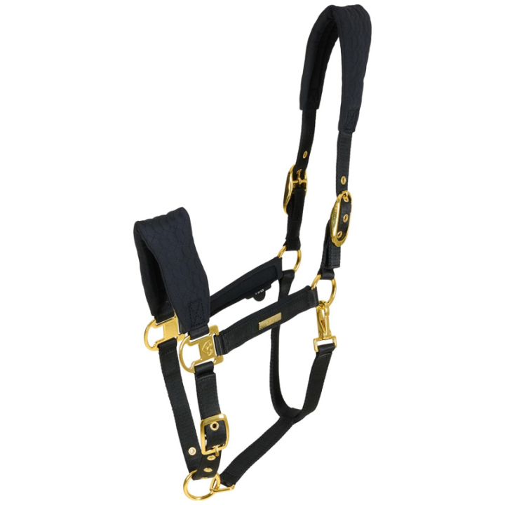 Halfter FIR-Tech Grand Schwarz in der Gruppe Schuhe, Stiefel & Chaps bei Equinest (80009301809BA)