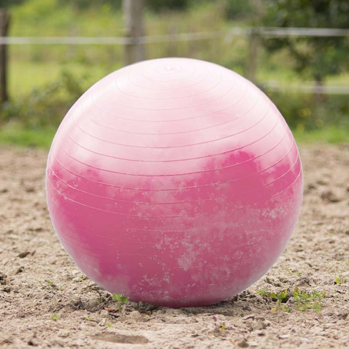Pferdefußball Rosa in der Gruppe Stall & Weide / Pferdespielzeug bei Equinest (8005RZ80100PI)