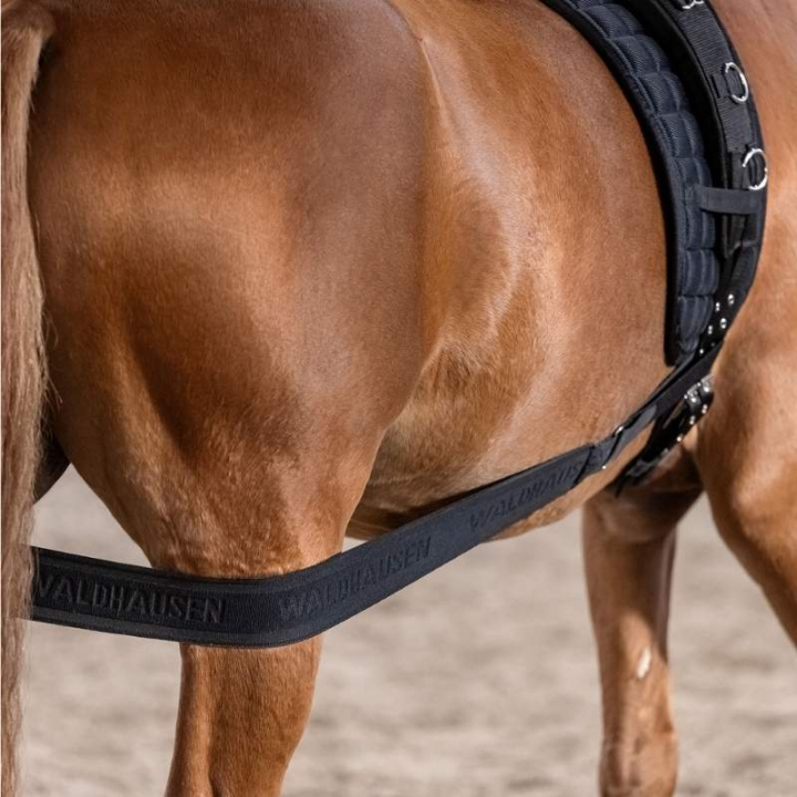 Body Bandage Elastic Schwarz Cob/Full in der Gruppe Pferdezubehör & Pferdebedarf / Longieren & Bodenarbeit bei Equinest (81053012BA-CF)