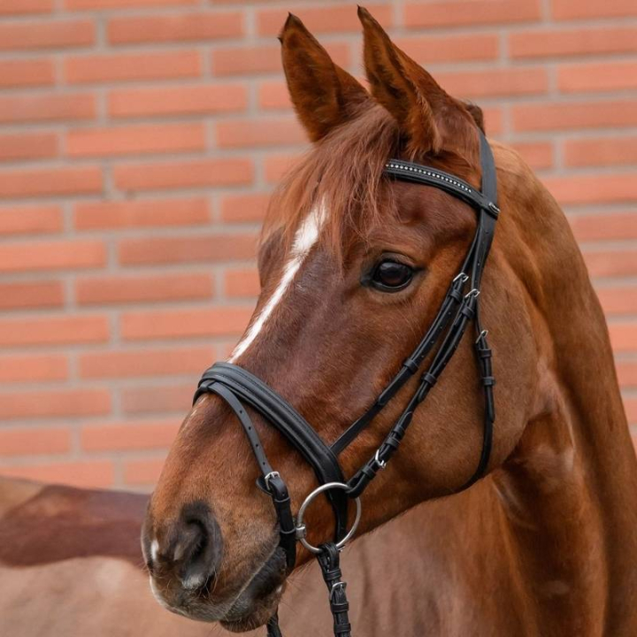 Trense Diamond Schwarz in der Gruppe Pferdezubehör & Pferdebedarf / Zaumzeug & Stirnriemen / Trensen bei Equinest (81357001BA_r)