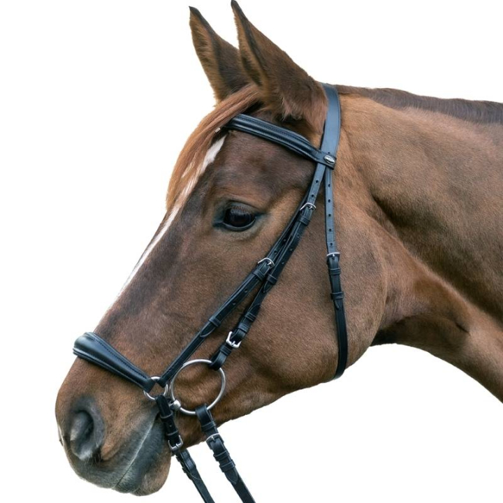 Trense Hannover Schwarz in der Gruppe Pferdezubehör & Pferdebedarf / Zaumzeug & Stirnriemen / Trensen bei Equinest (813801POBA_r)