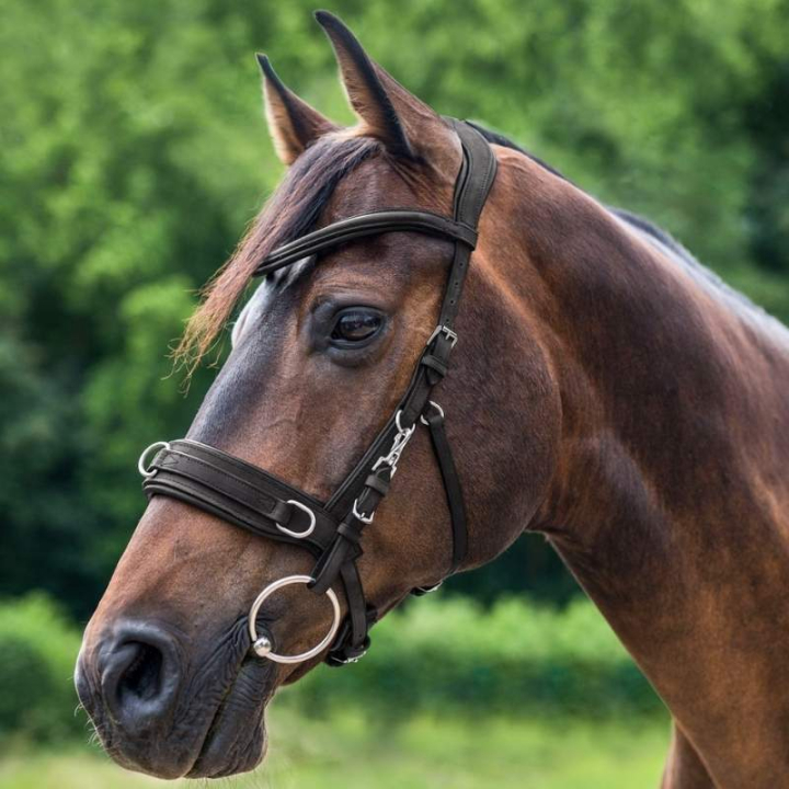 Kappzaum Leather Anatomic Schwarz in der Gruppe Pferdezubehör & Pferdebedarf / Longieren & Bodenarbeit bei Equinest (9560301PBA_r)
