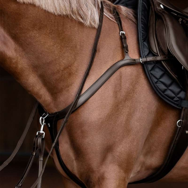 Vorderzeug Long Bridge X-Line Braun in der Gruppe Pferdezubehör & Pferdebedarf / Martingal & Vorderzeug / Vorderzeug bei Equinest (9581230VBR_r)