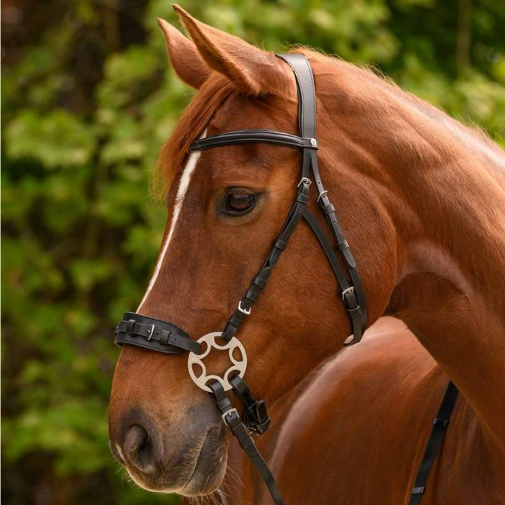 Hackamorezaum Sensitive X-Line Schwarz in der Gruppe Pferdezubehör & Pferdebedarf / Zaumzeug & Stirnriemen / Hackamore & Gebisslose Trensen bei Equinest (9582601VBA_r)