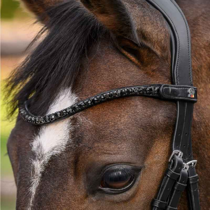 Stirnriemen Shine X-Line Schwarz/Schwarz in der Gruppe Pferdezubehör & Pferdebedarf / Zaumzeug & Stirnriemen / Stirnriemen bei Equinest (9589001VBABA_r)