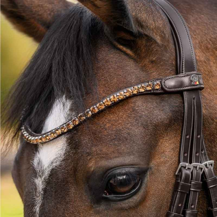Stirnriemen Shine X-Line Braun/Beige in der Gruppe Pferdezubehör & Pferdebedarf / Zaumzeug & Stirnriemen / Stirnriemen bei Equinest (9589107VBRBR_r)