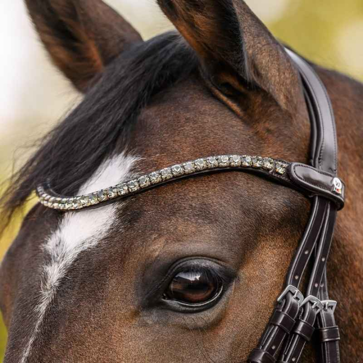 Stirnriemen Shine X-Line Braun/Silber in der Gruppe Pferdezubehör & Pferdebedarf / Zaumzeug & Stirnriemen / Stirnriemen bei Equinest (9589111VBRSI_r)