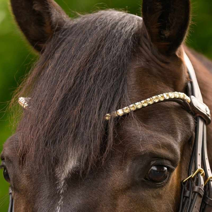 Stirnriemen Shine X-Line Braun/Toffee in der Gruppe Pferdezubehör & Pferdebedarf / Zaumzeug & Stirnriemen / Stirnriemen bei Equinest (9589184VBRTF_r)