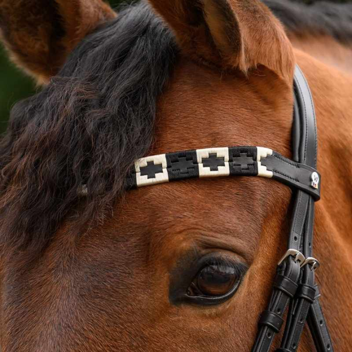 Stirnriemen Polo X-Line Schwarz/Beige in der Gruppe Pferdezubehör & Pferdebedarf / Zaumzeug & Stirnriemen / Stirnriemen bei Equinest (9589301VBLABE_r)