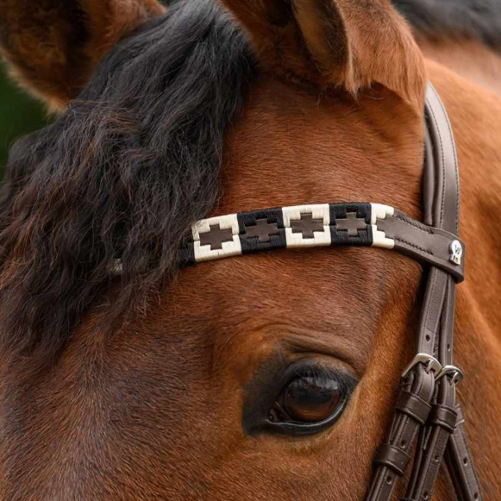 Stirnriemen Polo X-Line Braun/Beige in der Gruppe Pferdezubehör & Pferdebedarf / Zaumzeug & Stirnriemen / Stirnriemen bei Equinest (9589401VBRBR_r)