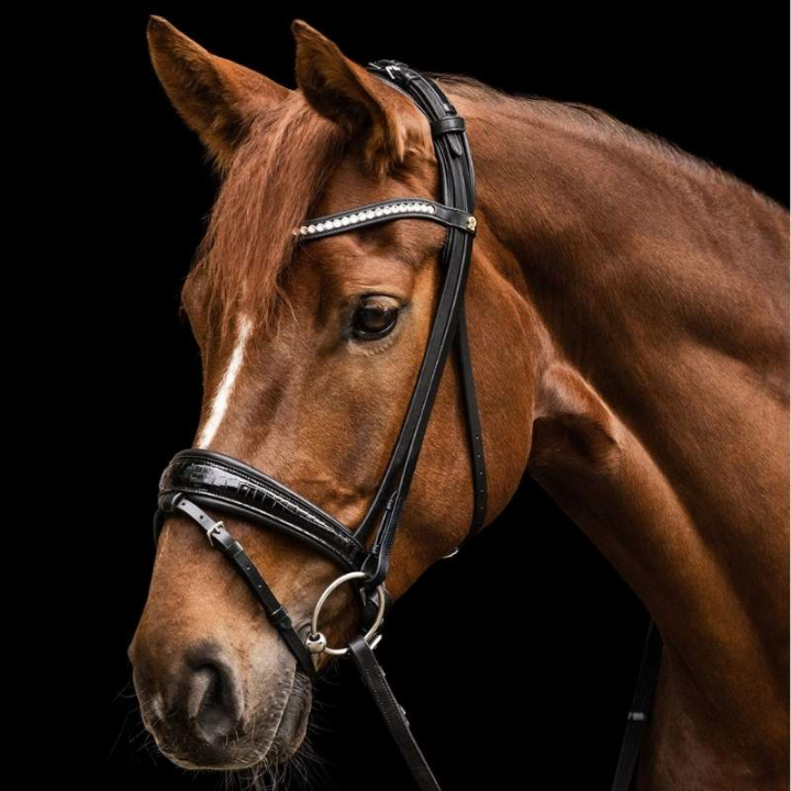 Dressurtrense Magic Croco S-Line Schwarz in der Gruppe Pferdezubehör & Pferdebedarf / Zaumzeug & Stirnriemen / Kandarenzaum & Dressurtrensen bei Equinest (9808501VBA_r)