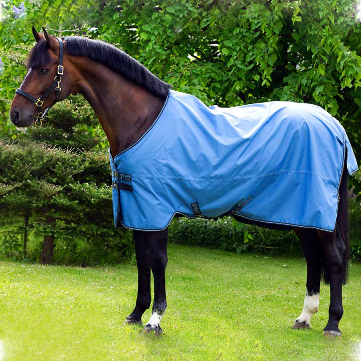 Regendecke Amigo Hero 900 50g Blau in der Gruppe Pferdedecken / Outdoordecken / Regendecken bei Equinest (AAMA91Bl_r)