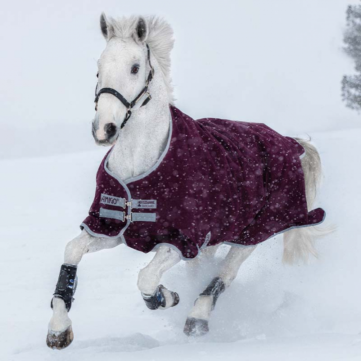 Winterdecke Amigo Hero Ripstop 200g Weinrot in der Gruppe Pferdedecken / Outdoordecken / Winterdecken bei Equinest (AAPA93Vn_r)