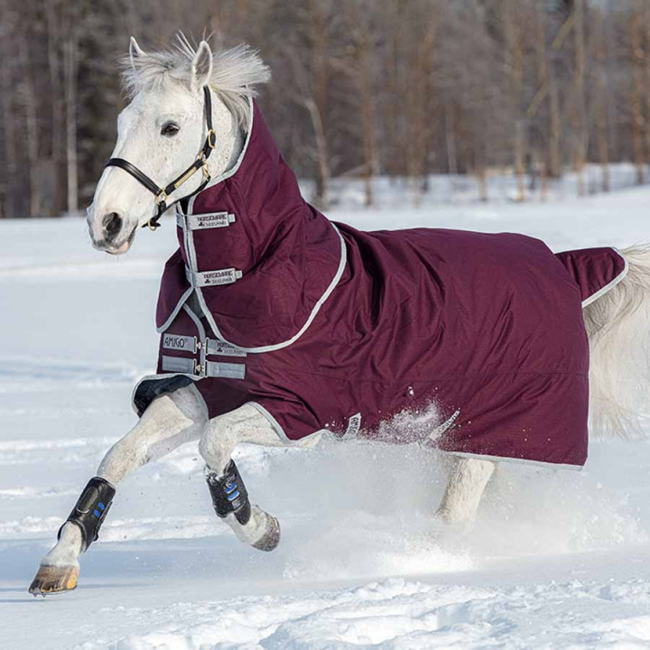Winterdecke Amigo Hero Ripstop Plus 200g Weinrot/Silber in der Gruppe Pferdedecken / Outdoordecken / Winterdecken bei Equinest (AAPP93RESI)