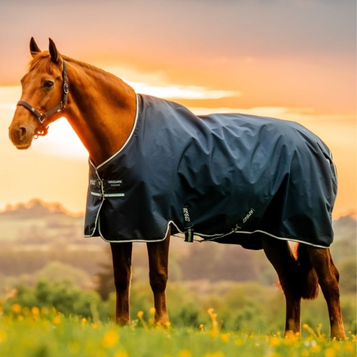 Outdoordecke Amigo Ripstop 900D 100g Witney Navy in der Gruppe Pferdedecken / Outdoordecken / Übergangsdecken bei Equinest (AARABFVRKWNA_r)