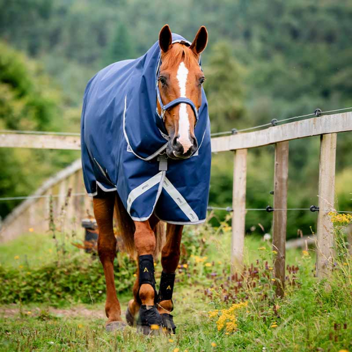 Winterdecke mit Kapuzenhaube Amigo Bravo 12 Plus Bundle (50g+100g+200g) V-Front Marineblau/Grau in der Gruppe Pferdedecken / Outdoordecken / Winterdecken bei Equinest (AARDM2NA)