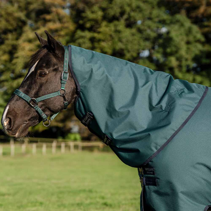 Halsteil Amigo Ripstop 900D 0g Grün/Marineblau/Silber in der Gruppe Pferdedecken / Halsteile bei Equinest (AARN10GBGNMASI_r)