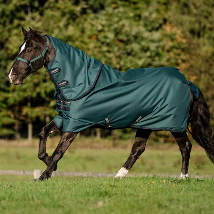Outdoordecke Amigo Ripstop 900D Plus 100g Grün/Marineblau/Silber in der Gruppe Pferdedecken / Outdoordecken / Übergangsdecken bei Equinest (AARPG2GBIGNMASI_r)