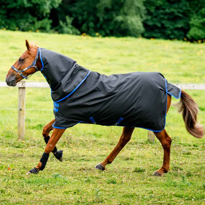 Winterdecke mit Kapuzenhaube Amigo Ripstop 900 Plus 200g Schwarz/Blau in der Gruppe Pferdedecken / Outdoordecken / Winterdecken bei Equinest (AARPG4BA)