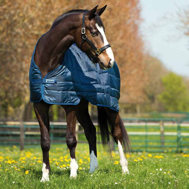 Liner 300g Marineblau in der Gruppe Pferdedecken / Liners & Unterdecken bei Equinest (ABAD63Ma_r)
