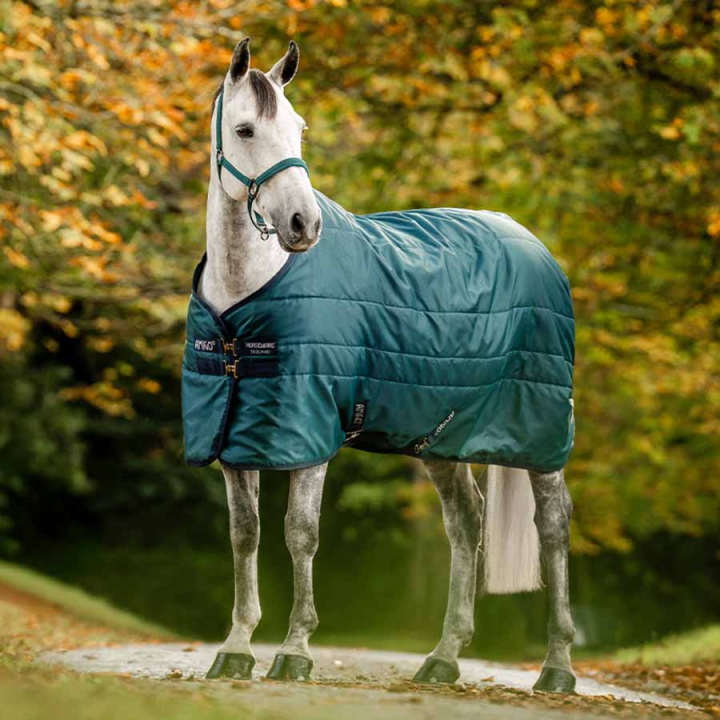 Stalldecke Amigo Insulator Ripstop 210D 100g Grün/Marineblau/Silber in der Gruppe Pferdedecken / Stalldecken bei Equinest (ABRDM1GBIGNMASI_r)