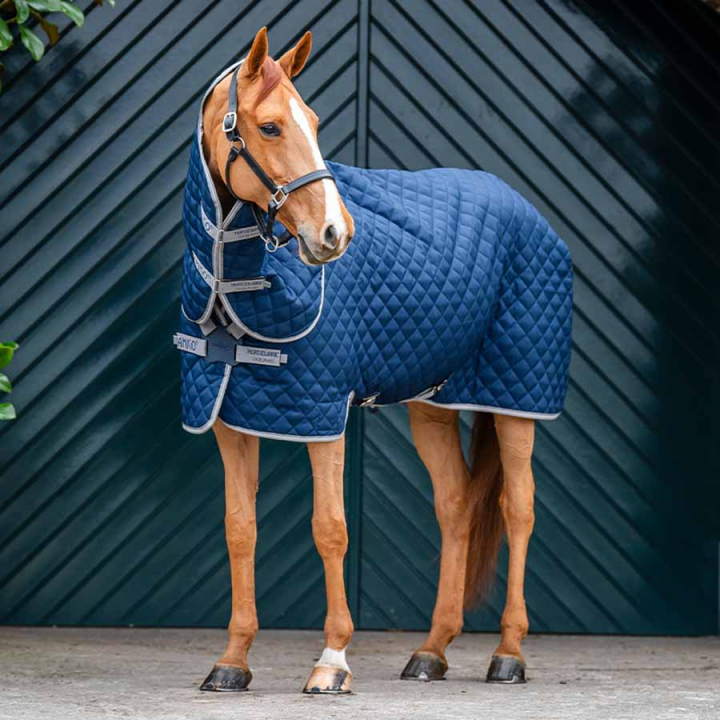 Stalldecke Amigo Quilted 600D Plus 200g Marine/Grau/Silber in der Gruppe Pferdedecken / Stalldecken bei Equinest (ABRDT2BJI_r)
