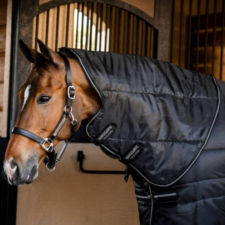 Halsteil Amigo Ripstop Insulator 210D 200g Schwarz/Schwarz/Silber in der Gruppe Pferdedecken / Halsteile bei Equinest (ABRHN4KKIBABASI_r)