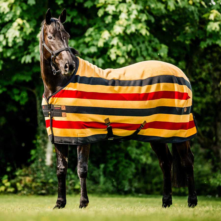 Fleecedecke Newmarket Cooler Witney Gold in der Gruppe Pferdedecken / Fleecedecken bei Equinest (ACHFBNVRKWGO_r)