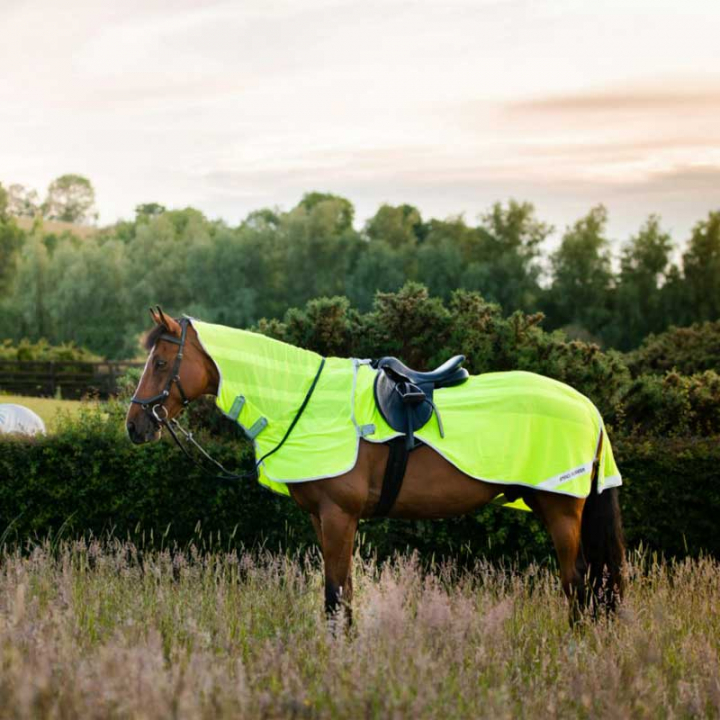 Amigo Flyrider Reitdecke Neongelb in der Gruppe Pferdedecken / Ausreitdecken & Nierendecken bei Equinest (AFRE10Gu_r)