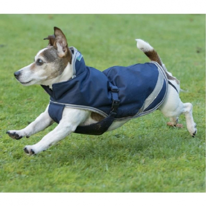 Hundemantel Freedom 300g Marineblau in der Gruppe Hund / Hundedecken & Hundemäntel bei Equinest (B-281300Ma_r)