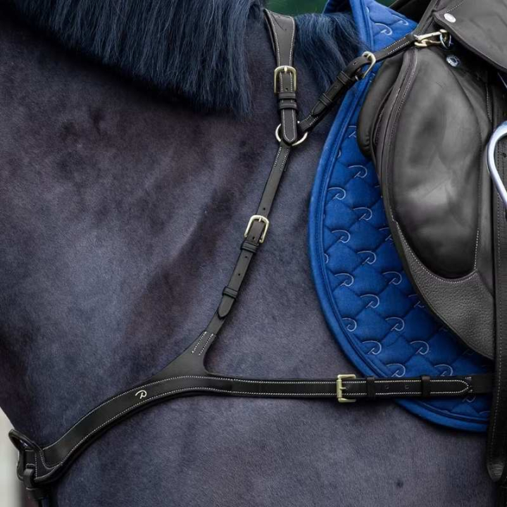 Vorderzeug Anatomical Dyon Collection Schwarz in der Gruppe Pferdezubehör & Pferdebedarf / Martingal & Vorderzeug / Vorderzeug bei Equinest (DY06BBLCBA_r)