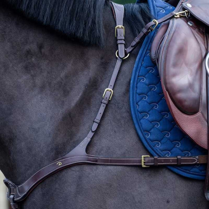 Vorderzeug Anatomical Dyon Collection Braun in der Gruppe Pferdezubehör & Pferdebedarf / Martingal & Vorderzeug / Vorderzeug bei Equinest (DY06BBRCBR_r)