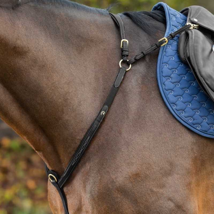Vorderzeug mit Brücke Dyon Collection Schwarz in der Gruppe Pferdezubehör & Pferdebedarf / Martingal & Vorderzeug / Vorderzeug bei Equinest (DY06DBLCBA_r)