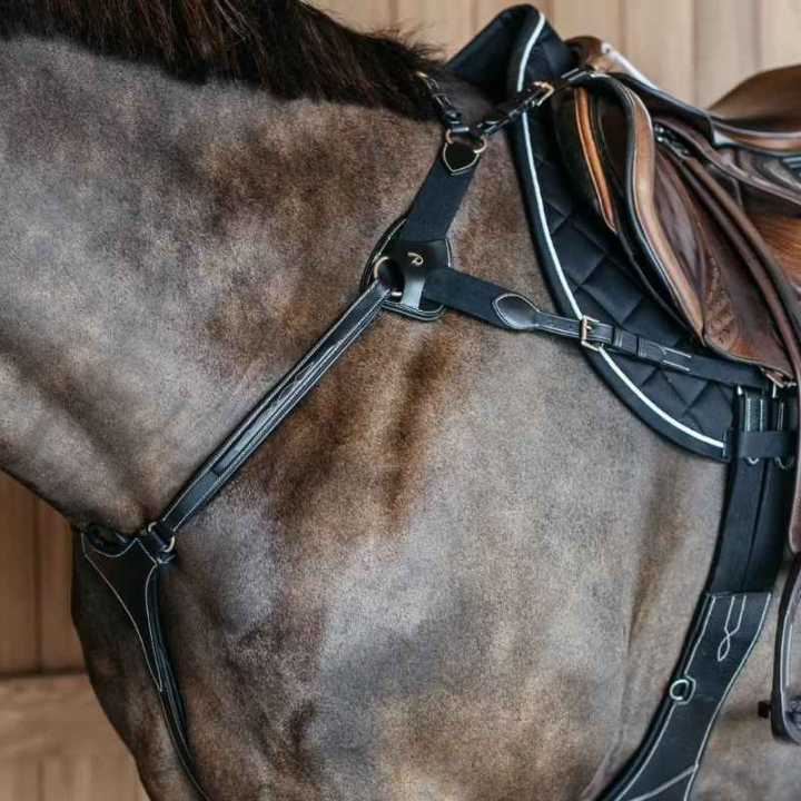 5-Punkt-Vorderzeug Elastic Dyon Collection Schwarz in der Gruppe Pferdezubehör & Pferdebedarf / Martingal & Vorderzeug / Vorderzeug bei Equinest (DY06FBLCBA_r)