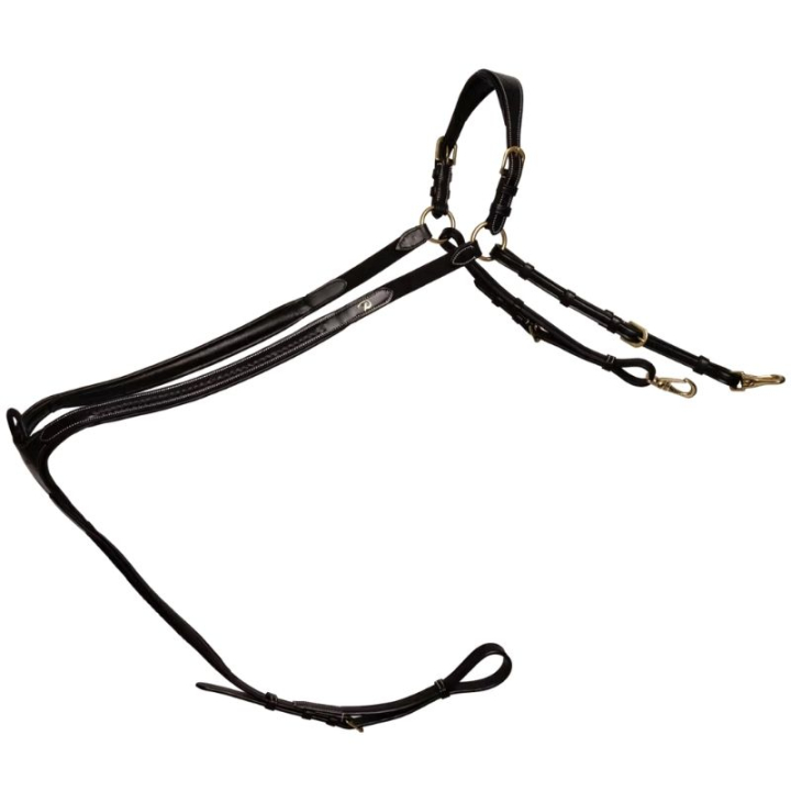 Vorderzeug Plaited Dyon Collection Schwarz in der Gruppe Pferdezubehör & Pferdebedarf / Martingal & Vorderzeug / Vorderzeug bei Equinest (DY06HBLCBA_r)