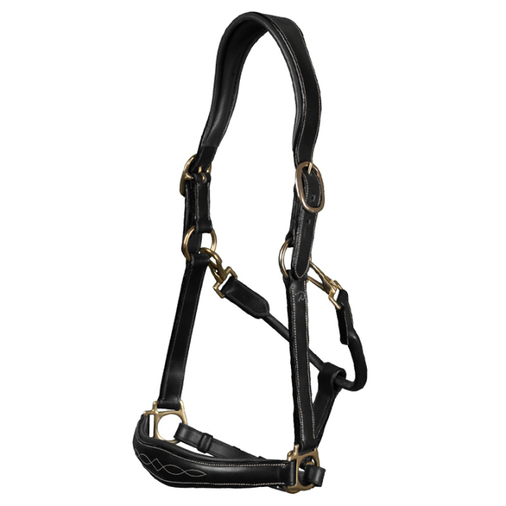 Pflegehalfter Artificial Leather Anatomic DC Schwarz in der Gruppe Pferdezubehör & Pferdebedarf / Halfter / Lederhalfter bei Equinest (DY09ABLCBA_r)