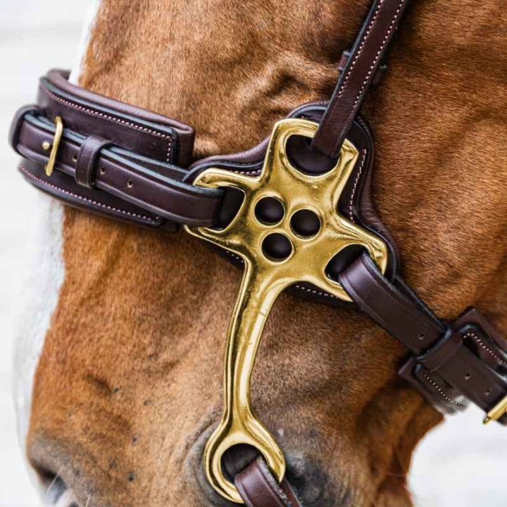 Hackamore Dyon Collection Braun in der Gruppe Pferdezubehör & Pferdebedarf / Gebisse / Hackamores bei Equinest (DY1400305BR_r)