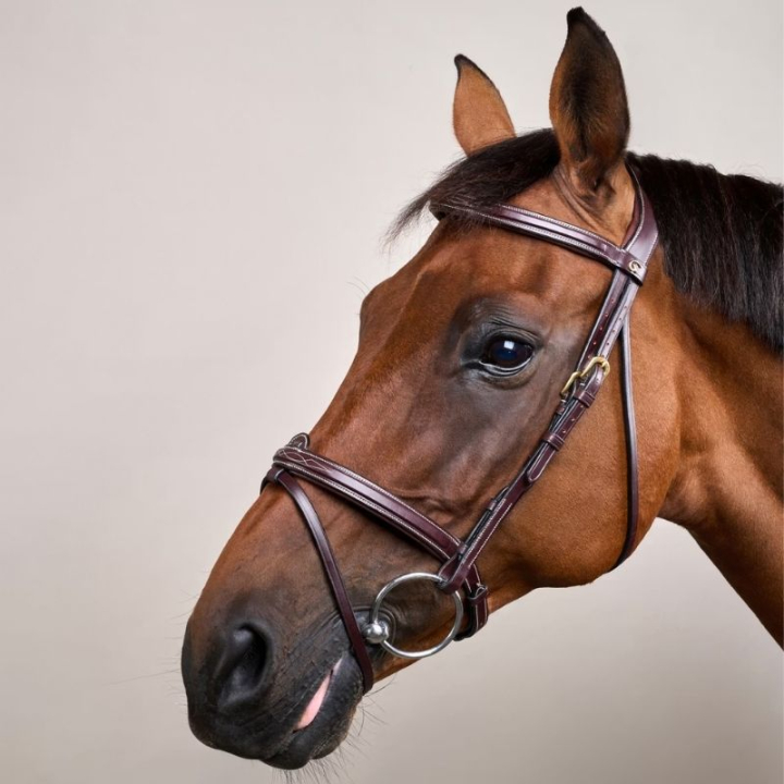 Trense Erhöhte Kombinierter Nasenriemen DC Braun in der Gruppe Pferdezubehör & Pferdebedarf / Zaumzeug & Stirnriemen / Trensen bei Equinest (DYAAAABr_r)