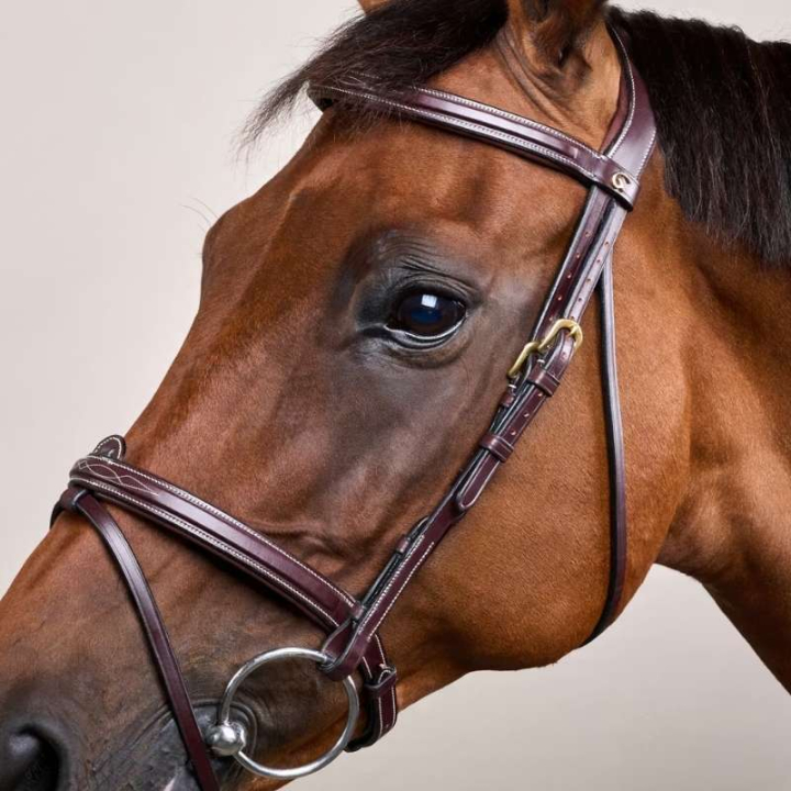 Trense mit kombiniertem Reithalfter Dyon Collection Braun in der Gruppe Pferdezubehör & Pferdebedarf / Zaumzeug & Stirnriemen / Trensen bei Equinest (DYAAAABr_r)