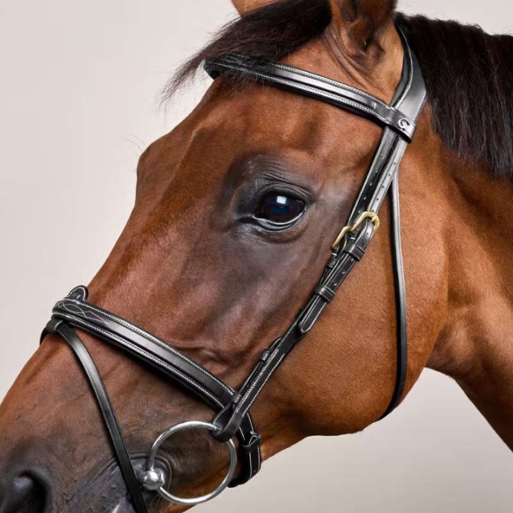 Trense mit kombiniertem Reithalfter Dyon Collection Schwarz in der Gruppe Pferdezubehör & Pferdebedarf / Zaumzeug & Stirnriemen / Trensen bei Equinest (DYAAAASv_r)